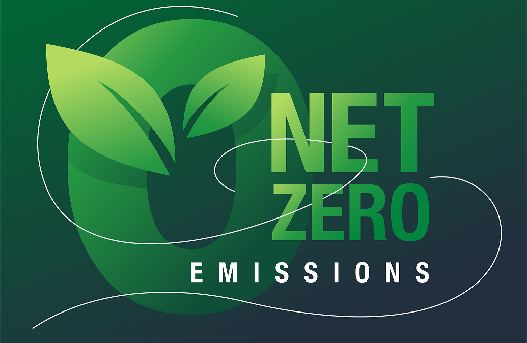 Bluebird Fiber Commits to Net-Zero Carbon Emissions by 2040