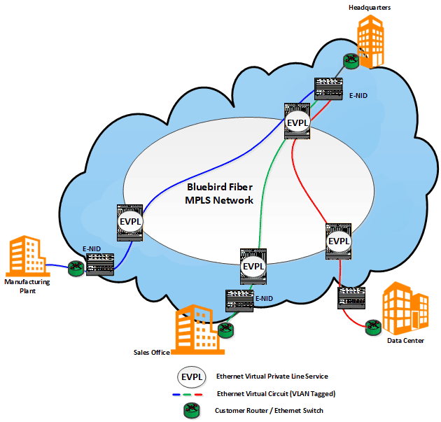 Bluebird 2025 Website Ethernet 1 E-Line Services